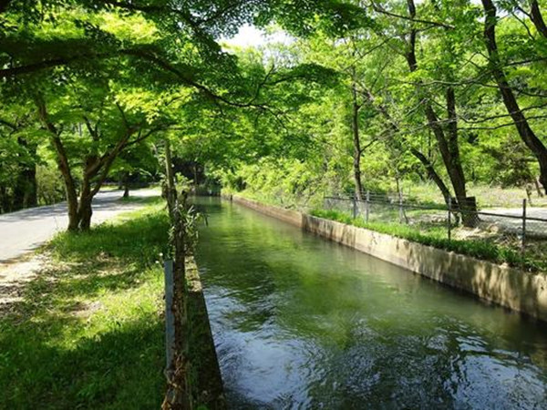 1595578255711831.jpg u=3036448111,1858161363&fm=26&gp=0.jpg