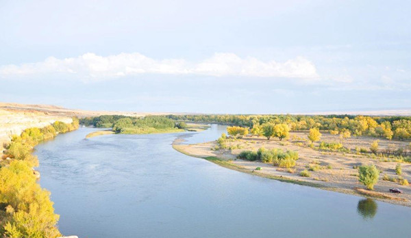 1598427439523094.jpg 2020_0821_38a2e918j00qfegni0022d000s600hlp.jpg