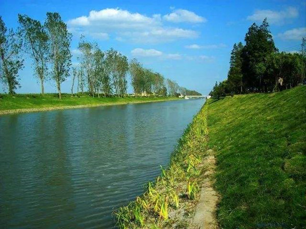 1603355189252424.jpg timg.jpg