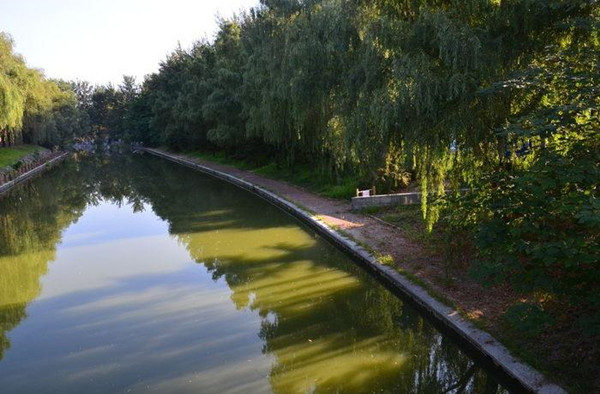 1608020591135894.jpg timg.jpg