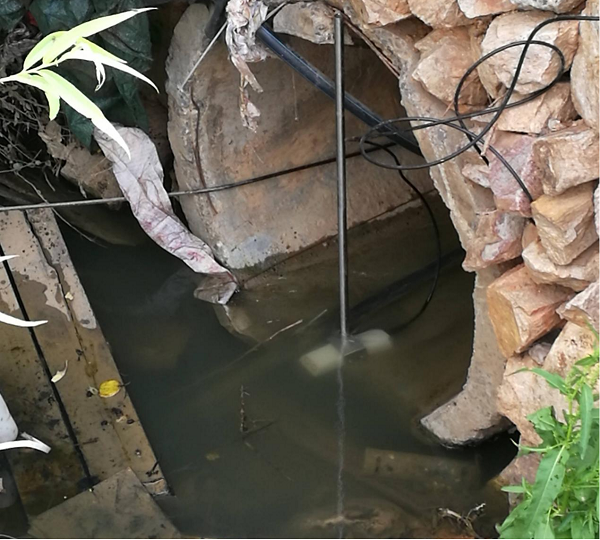 1736156604105931.png 圖片34.png